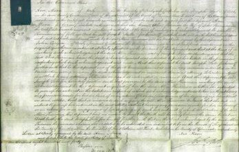 Court of Common Pleas - Alice Thurman-Original Ancestry