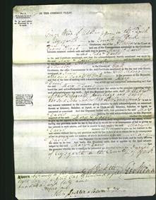 Court of Common Pleas - Mary Davis-Original Ancestry