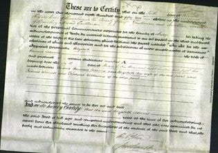 Deed by Married Women - Elizabeth Adams-Original Ancestry