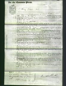 Court of Common Pleas - Jane Caroline Walker and Ann Randall-Original Ancestry