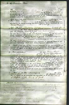 Court of Common Pleas - Fanny Short-Original Ancestry