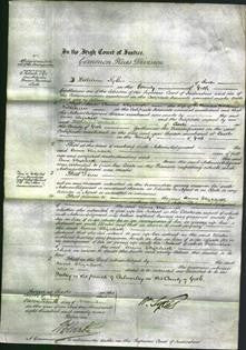 Court of Common Pleas - Annie Elizabeth Williams-Original Ancestry