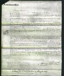 Court of Common Pleas - Elizabeth Barratt-Original Ancestry