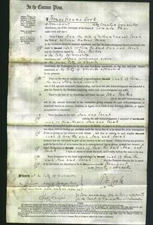 Court of Common Pleas - Ann Fenn and Sarah Dance-Original Ancestry