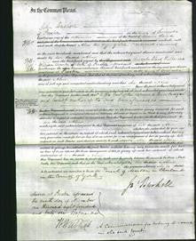 Court of Common Pleas - Alice Chadwick-Original Ancestry