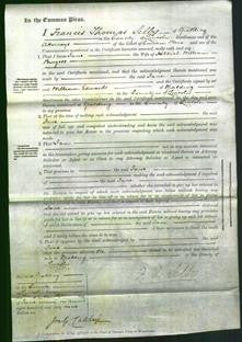 Court of Common Pleas - Jane Burgess-Original Ancestry