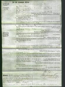 Court of Common Pleas - Betsy Fairhurst-Original Ancestry