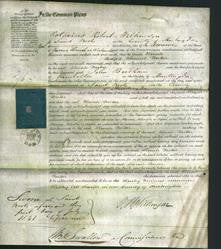 Court of Common Pleas - Sarah Fowler Parker-Original Ancestry