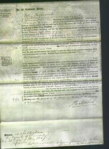 Court of Common Pleas - Emma Giles and Jane Rowley-Original Ancestry