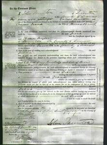 Court of Common Pleas - Diana Brook-Original Ancestry