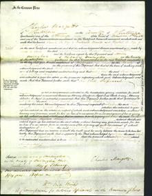 Court of Common Pleas - Sarah Arnold and Elizabeth Hearn-Original Ancestry