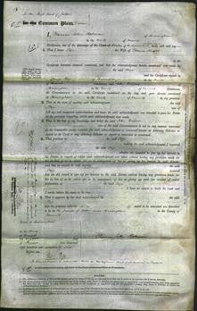 Court of Common Pleas - Eliza Knight-Original Ancestry