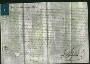 Court of Common Pleas - Louisa Williams-Original Ancestry