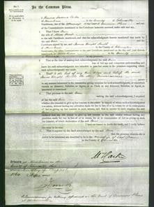 Court of Common Pleas - Ann Hirst-Original Ancestry