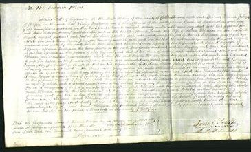 Court of Common Pleas - Sarah Robinson-Original Ancestry