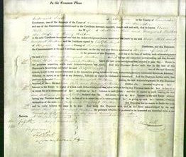 Court of Common Pleas - Ann Hill and Margaret Halton-Original Ancestry