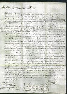 Court of Common Pleas - Sarah Chadwick-Original Ancestry