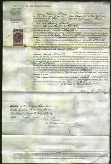 Court of Common Pleas - Sarah Attwell-Original Ancestry