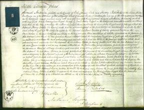 Court of Common Pleas - Mary Suggit-Original Ancestry
