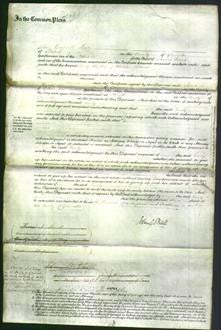 Court of Common Pleas - Emily Holland-Original Ancestry