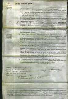 Court of Common Pleas - Charlotte Dearn-Original Ancestry