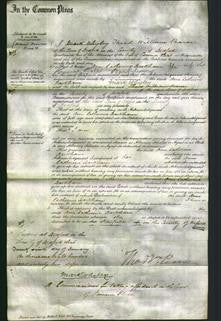 Court of Common Pleas - Ann Catherine Barkham-Original Ancestry