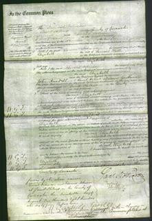 Court of Common Pleas - Elizabeth Hall-Original Ancestry