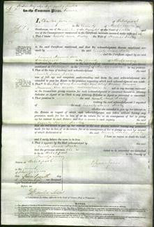 Court of Common Pleas - Emily Jane Disley-Original Ancestry