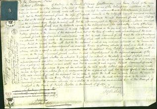 Court of Common Pleas - Susannah Dinah Servante-Original Ancestry