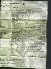 Court of Common Pleas - Sarah Ann Morse-Original Ancestry