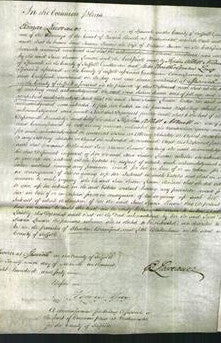 Court of Common Pleas - Jane Susan Lemon-Original Ancestry