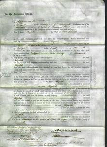 Court of Common Pleas - Elizabeth Williams-Original Ancestry