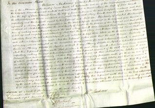 Court of Common Pleas - Mary Everett, Ann Coles and Clara Andrews-Original Ancestry