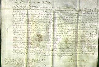 Court of Common Pleas - Mary Horsington-Original Ancestry