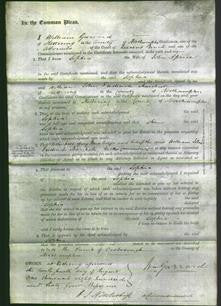 Court of Common Pleas - Sophia Aprice-Original Ancestry