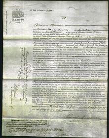 Court of Common Pleas - Sarah Penny-Original Ancestry