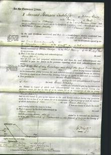 Court of Common Pleas - Grace Whiteley-Original Ancestry