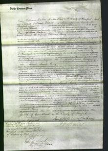 Court of Common Pleas - Sarah Parry-Original Ancestry