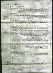 Court of Common Pleas - Sarah Elizabeth Smith-Original Ancestry