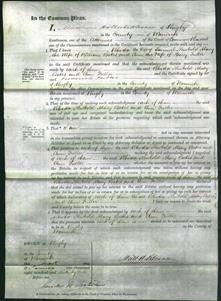 Court of Common Pleas - Rhoda Newbold, Mary Bates and Ann Fuller-Original Ancestry