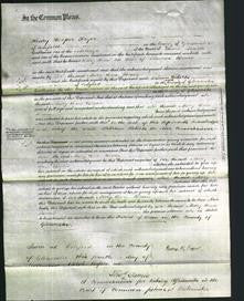Court of Common Pleas - Mary Ann Brain-Original Ancestry