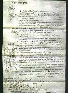 Court of Common Pleas - Caroline Stephens-Original Ancestry