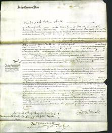 Court of Common Pleas - Elizabeth Lancaster-Original Ancestry