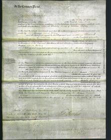 Court of Common Pleas - Hannah Whiting-Original Ancestry