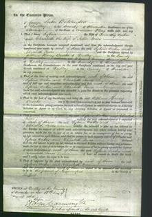 Court of Common Pleas - Sylvia Oakes and Elizabeth Jones-Original Ancestry