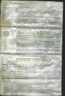 Court of Common Pleas - Sarah Jones-Original Ancestry