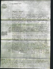 Court of Common Pleas - Sarah Ladkin and Emma Morris-Original Ancestry