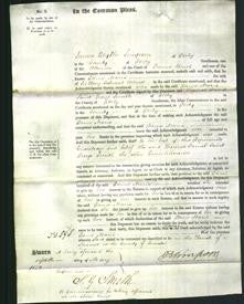 Court of Common Pleas - Dame Maria Wilmot-Original Ancestry