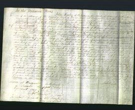 Court of Common Pleas - Patience Parker-Original Ancestry