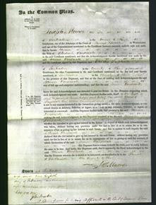 Court of Common Pleas - Maria Woodcock-Original Ancestry